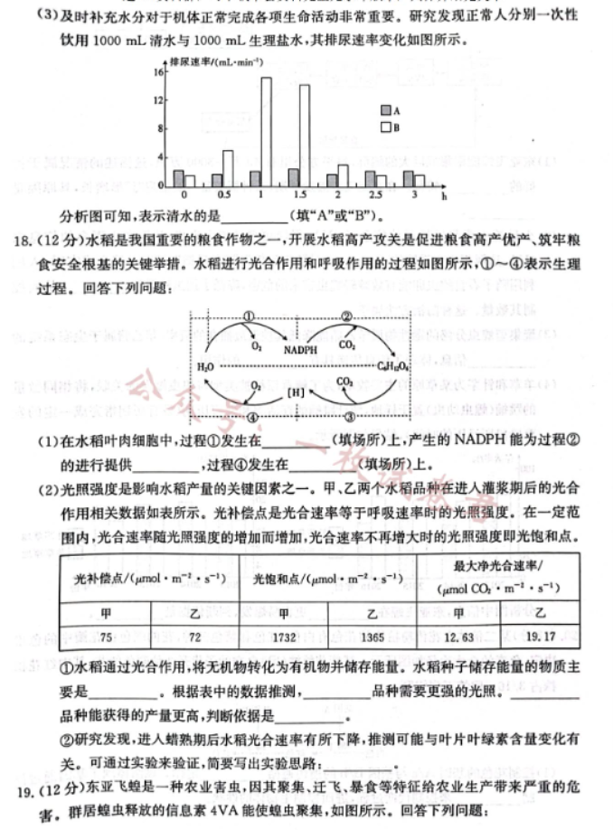 广西2024高三10月联合适应性训练检测生物试题及答案