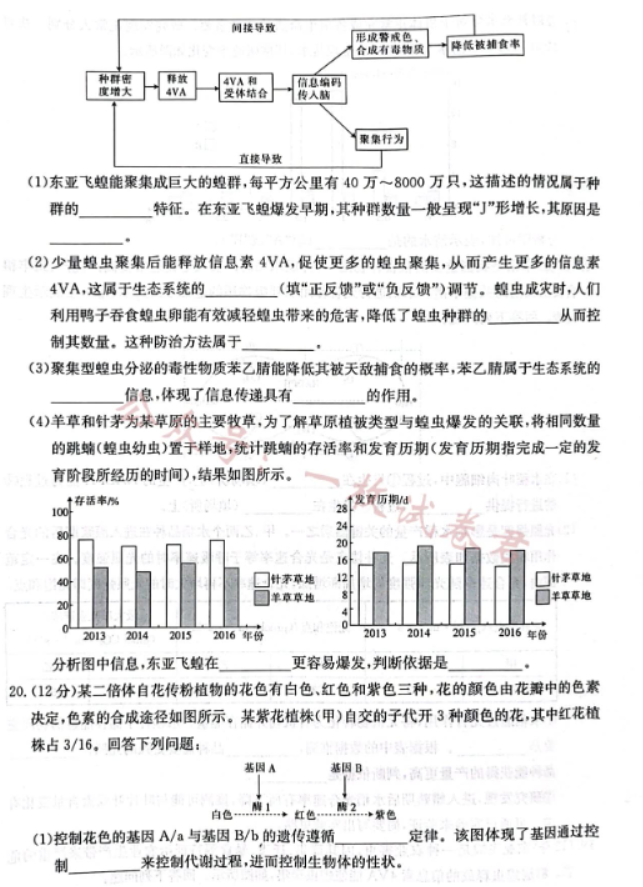 广西2024高三10月联合适应性训练检测生物试题及答案