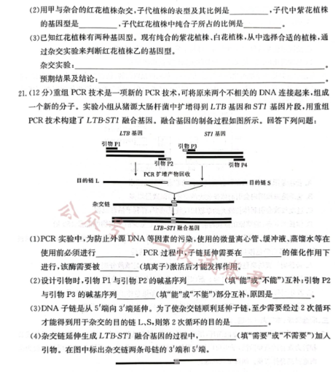 广西2024高三10月联合适应性训练检测生物试题及答案