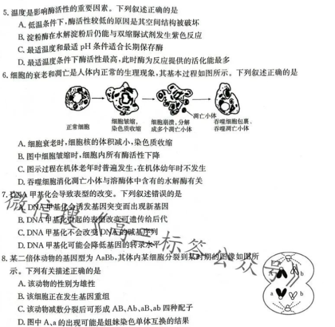 辽宁金太阳2024高三10月适应性考试生物试题及答案