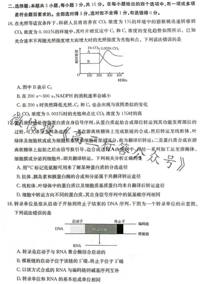 辽宁金太阳2024高三10月适应性考试生物试题及答案