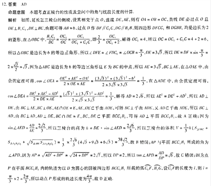 安徽巢湖一中2024高三上学期10月月考数学试题及答案解析