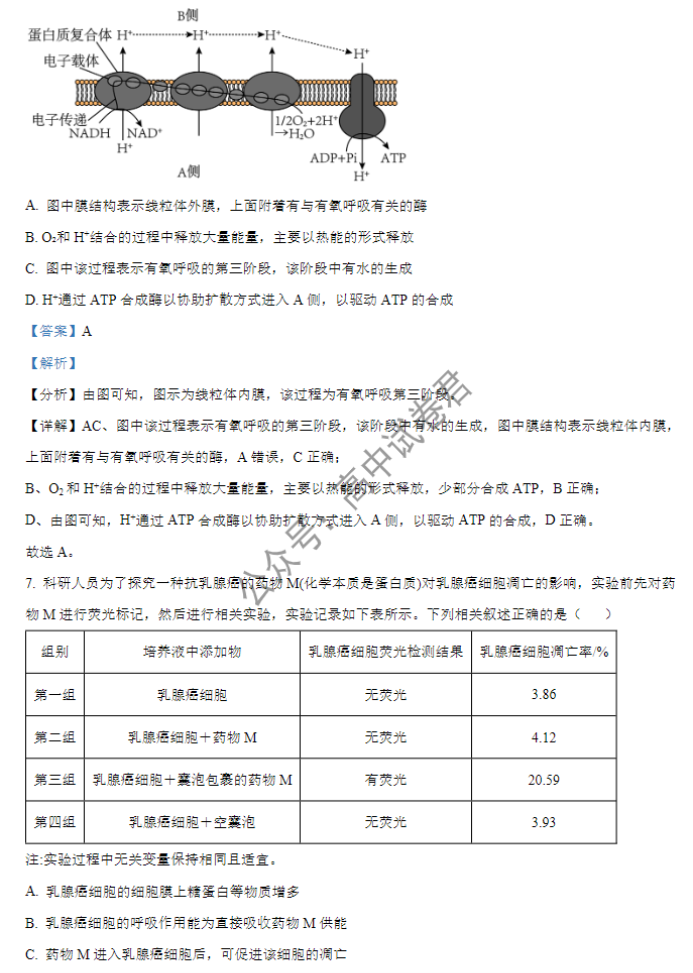 安徽巢湖一中2024高三上学期10月月考生物试题及答案解析