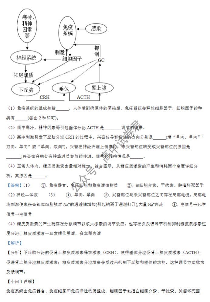 安徽巢湖一中2024高三上学期10月月考生物试题及答案解析