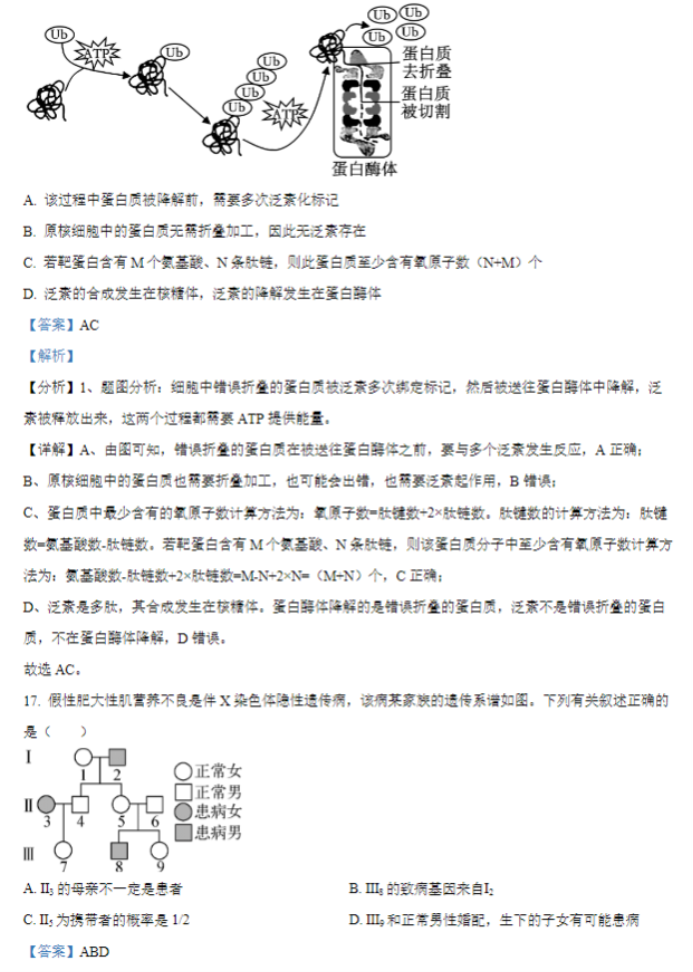 江苏常州联盟学校2024高三10月学情调研生物试题及答案