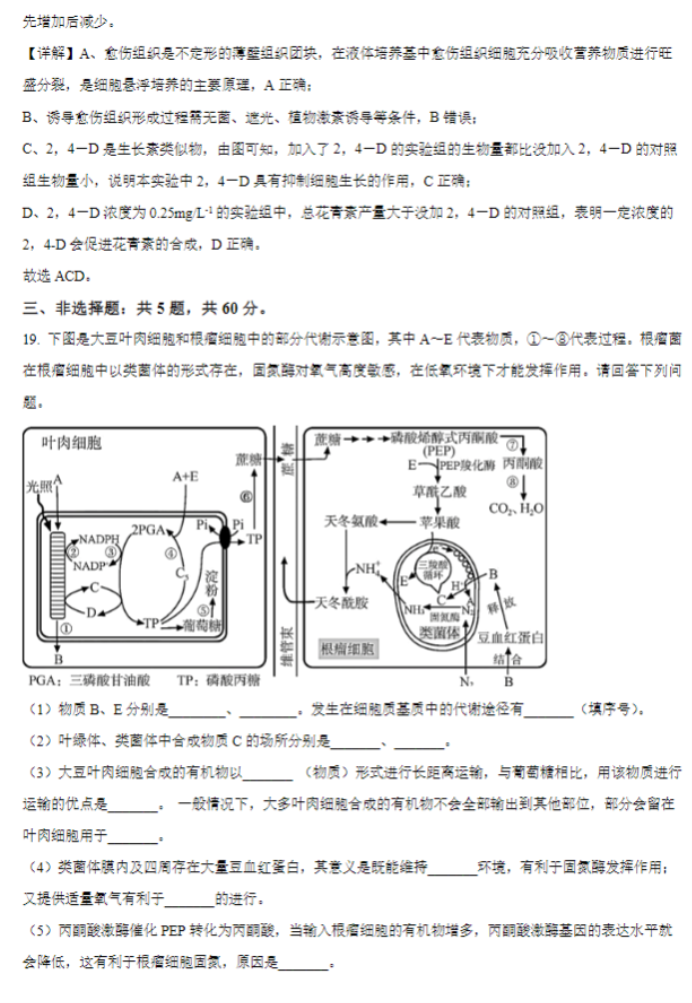 江苏常州联盟学校2024高三10月学情调研生物试题及答案