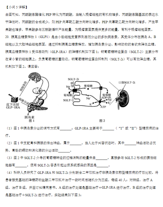 江苏常州联盟学校2024高三10月学情调研生物试题及答案