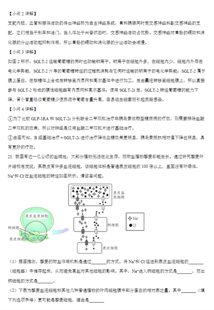 江苏常州联盟学校2024高三10月学情调研生物试题及答案