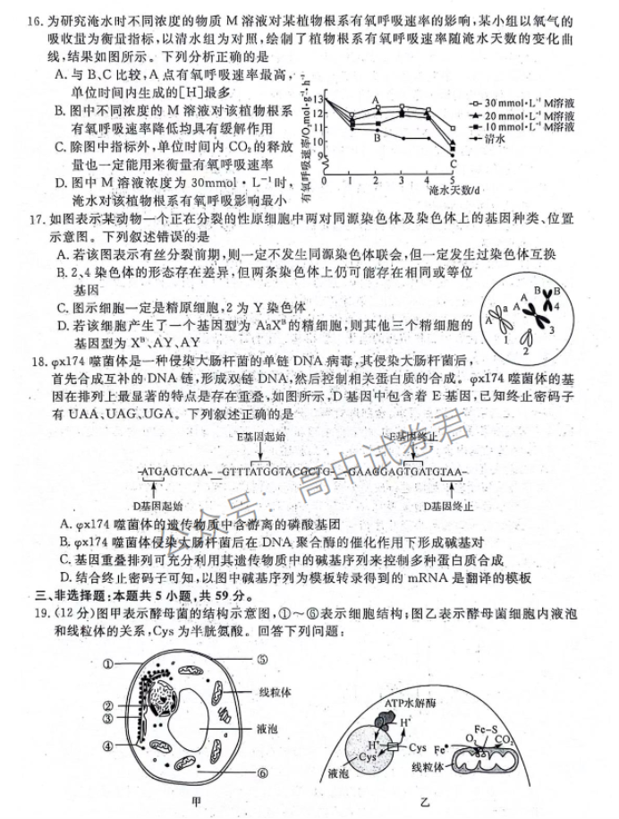 河北金科大联考2024高三10月质量检测生物试题及答案解析