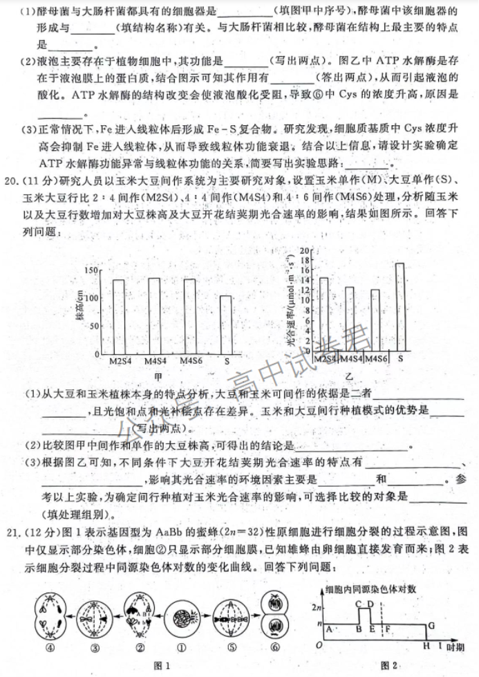 河北金科大联考2024高三10月质量检测生物试题及答案解析