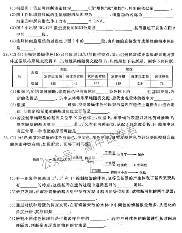 河北金科大联考2024高三10月质量检测生物试题及答案解析