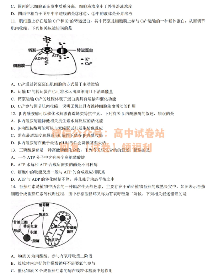 陕西安康重点名校2024高三10月联考生物试题及答案解析