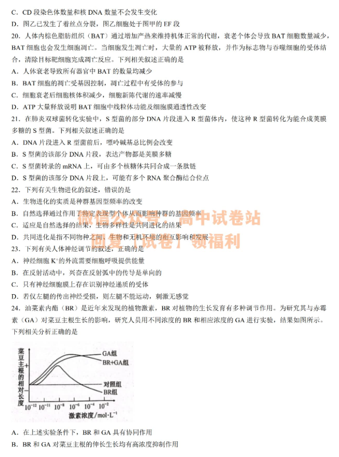 陕西安康重点名校2024高三10月联考生物试题及答案解析