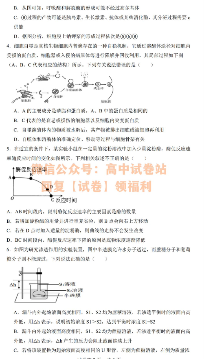 江西丰城中学2024高三上学期10月段考生物试题及答案解析