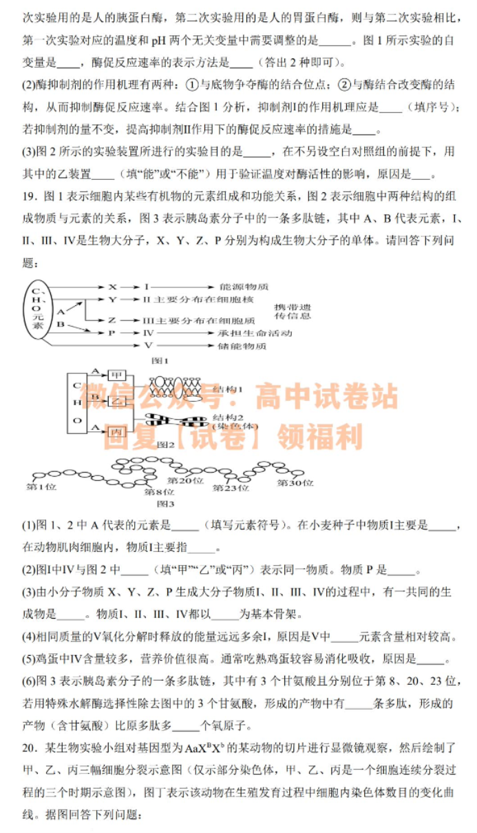 江西丰城中学2024高三上学期10月段考生物试题及答案解析