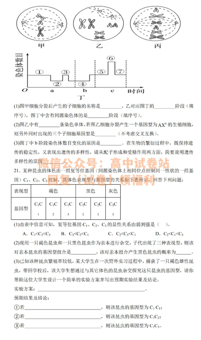 江西丰城中学2024高三上学期10月段考生物试题及答案解析