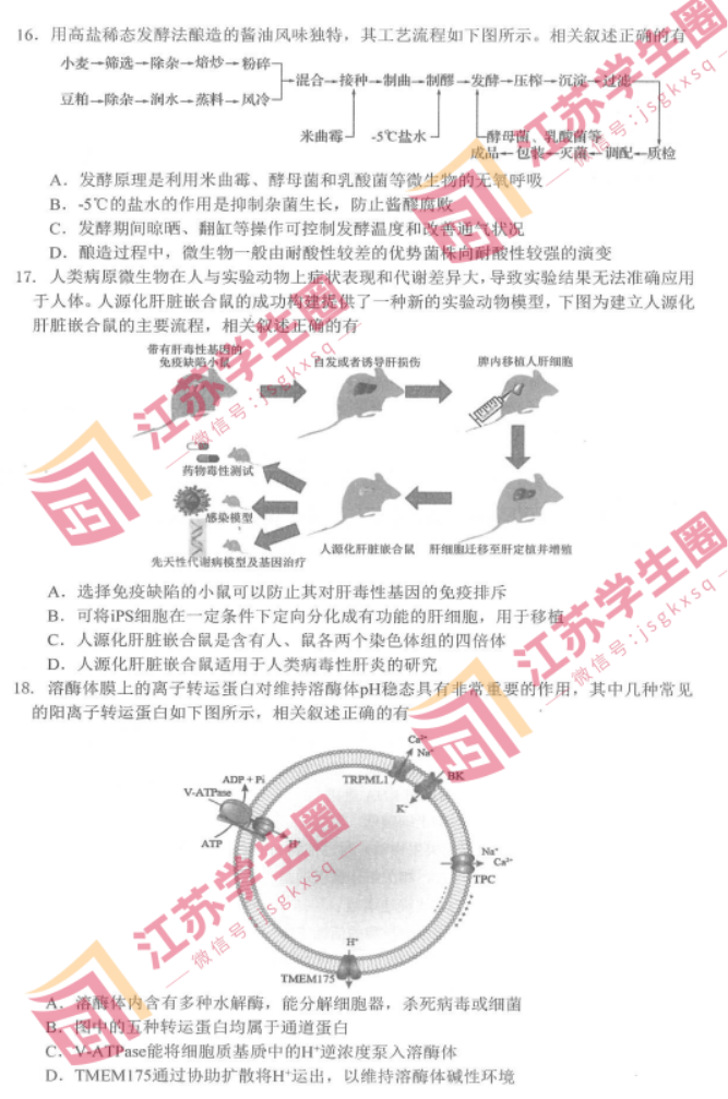 江苏决胜新高考2024高三10月大联考生物试题及答案解析