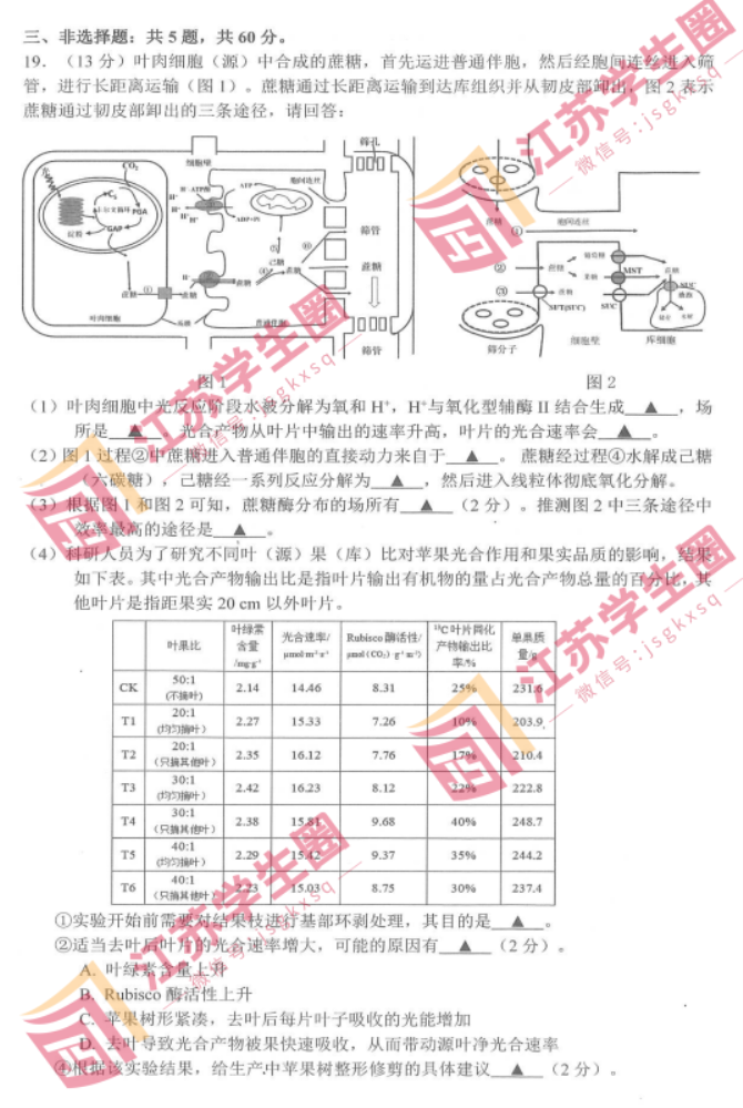 江苏决胜新高考2024高三10月大联考生物试题及答案解析