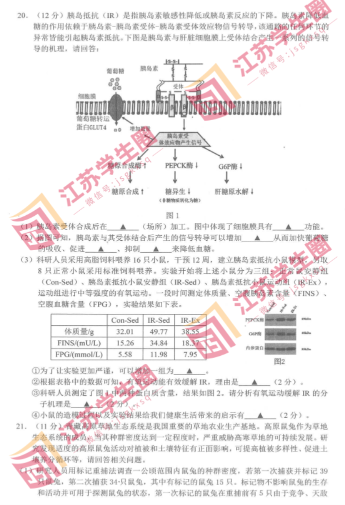 江苏决胜新高考2024高三10月大联考生物试题及答案解析