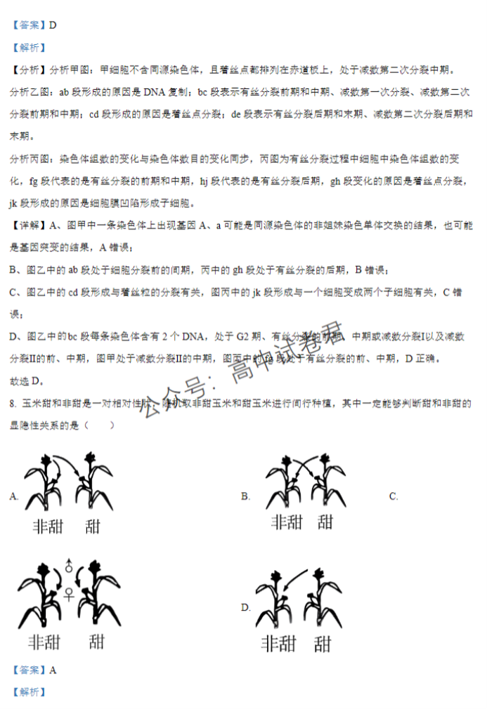 江西宜春宜丰中学创新部2024高三10月月考生物试题及答案