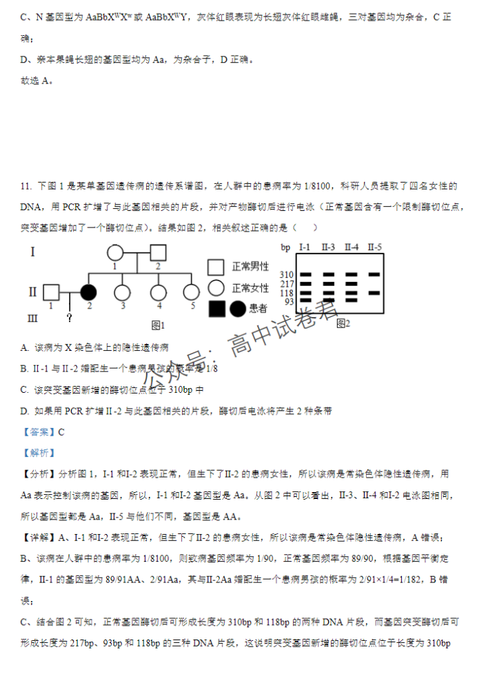 江西宜春宜丰中学创新部2024高三10月月考生物试题及答案