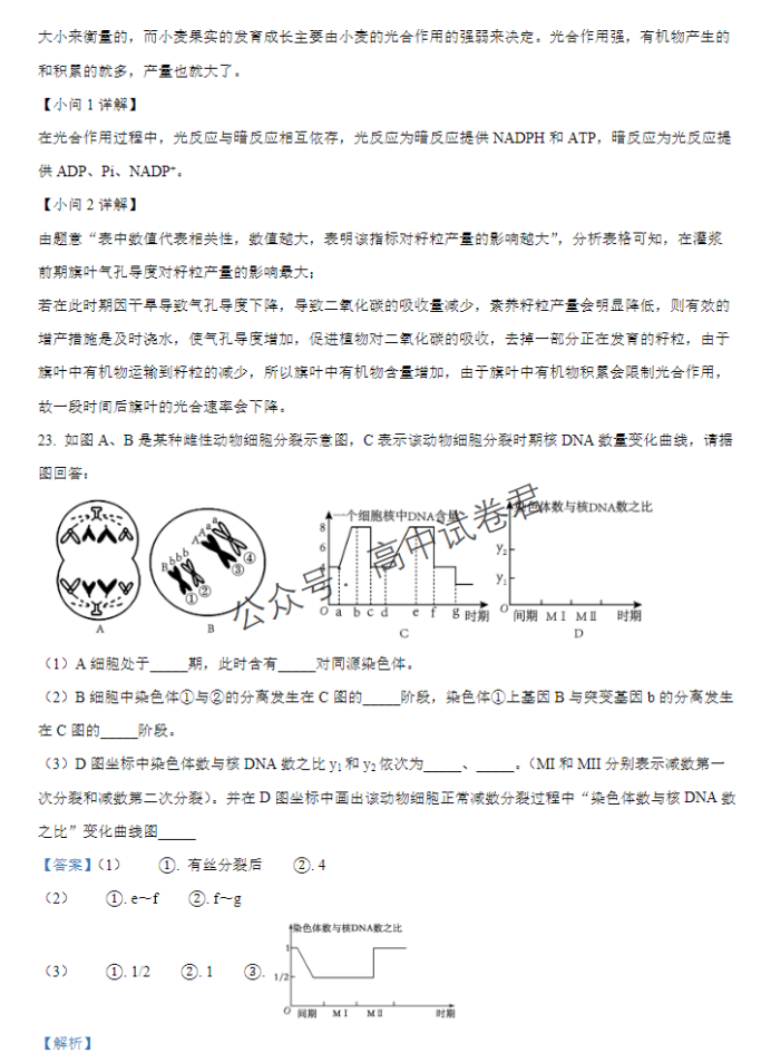 江西宜春宜丰中学创新部2024高三10月月考生物试题及答案