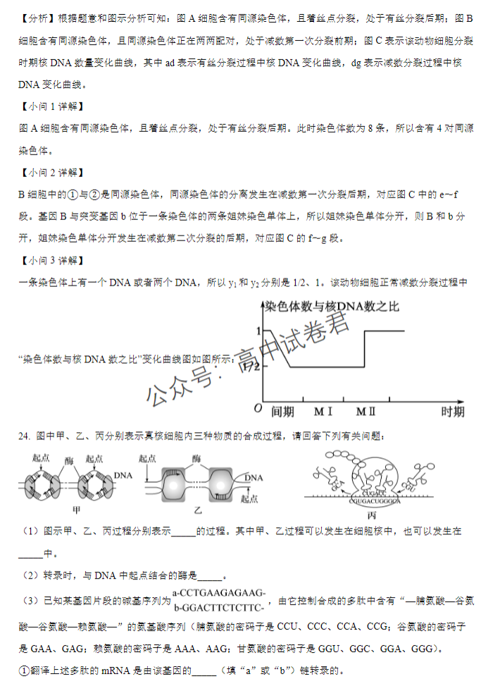 江西宜春宜丰中学创新部2024高三10月月考生物试题及答案