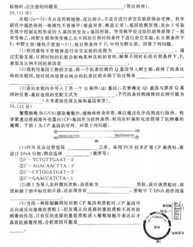 衡水金卷先享题2024高三摸底测试三生物试题及答案解析