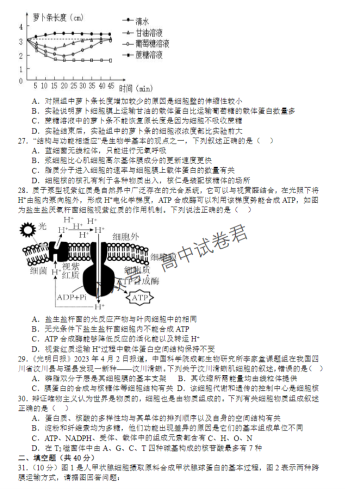 山西运城景胜学校东校区2024高三10月月考生物试题及答案