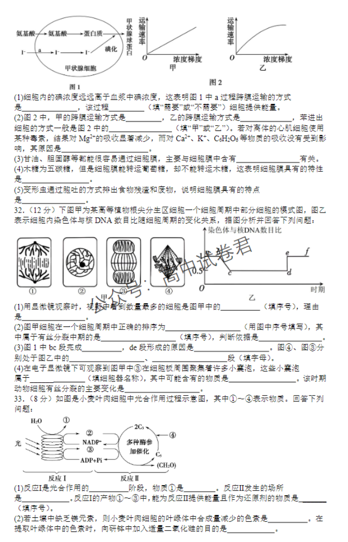 山西运城景胜学校东校区2024高三10月月考生物试题及答案