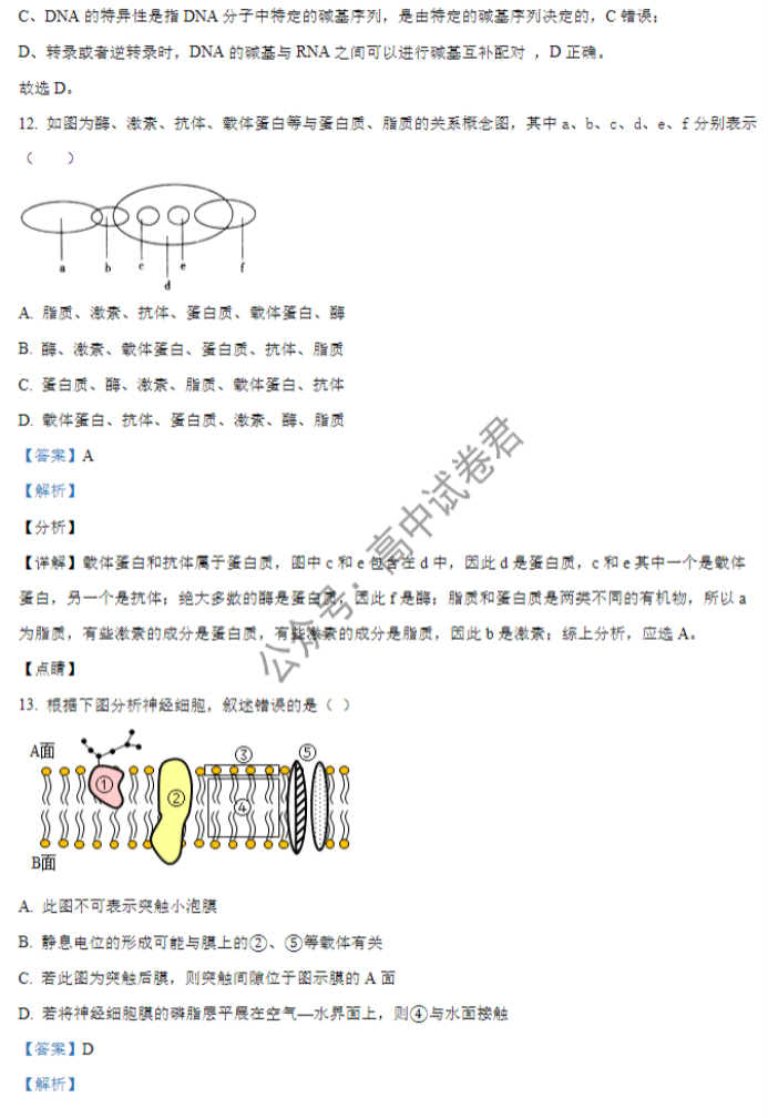 山西大同一中2024高三上学期10月月考生物试题及答案解析