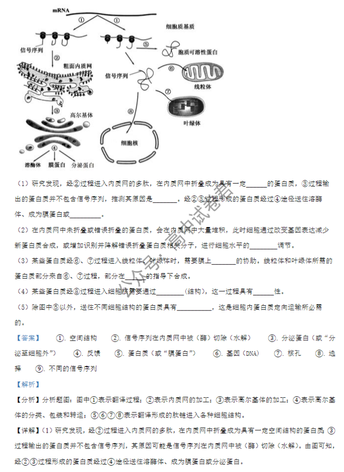 山西大同一中2024高三上学期10月月考生物试题及答案解析