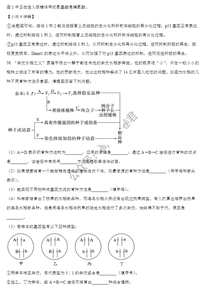 山西大学附中2024高三上学期10月月考生物试题及答案解析