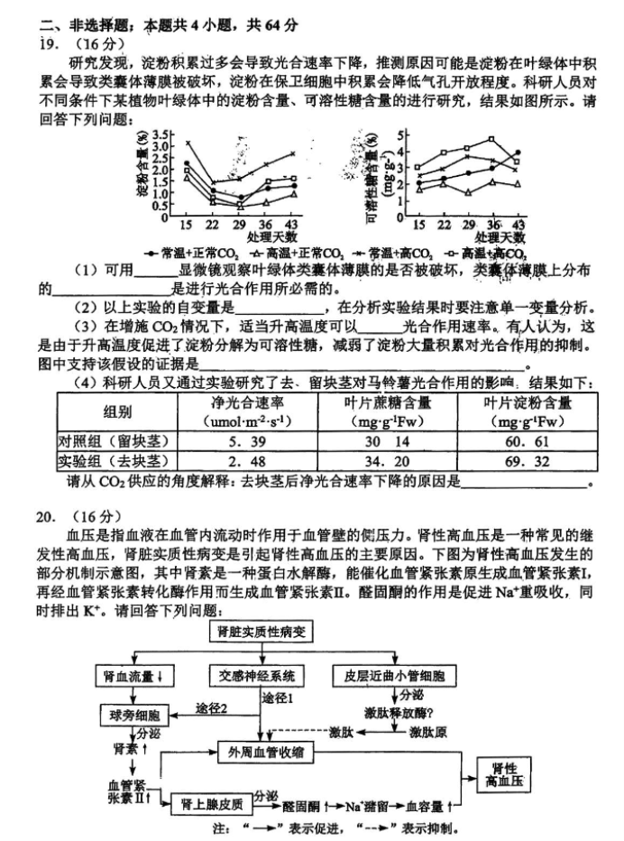 湖北腾云联盟2024高三10月联考生物试题及答案解析