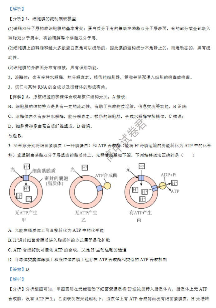 江苏海安高级中学2024高三10月月考生物试题及答案解析