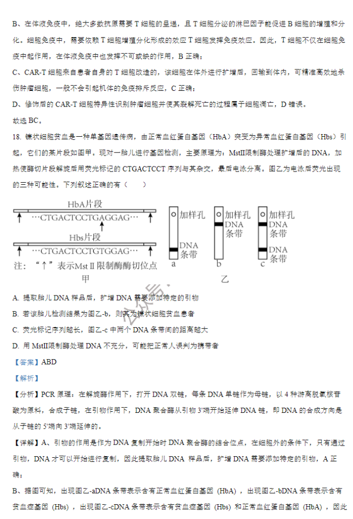 江苏海安高级中学2024高三10月月考生物试题及答案解析