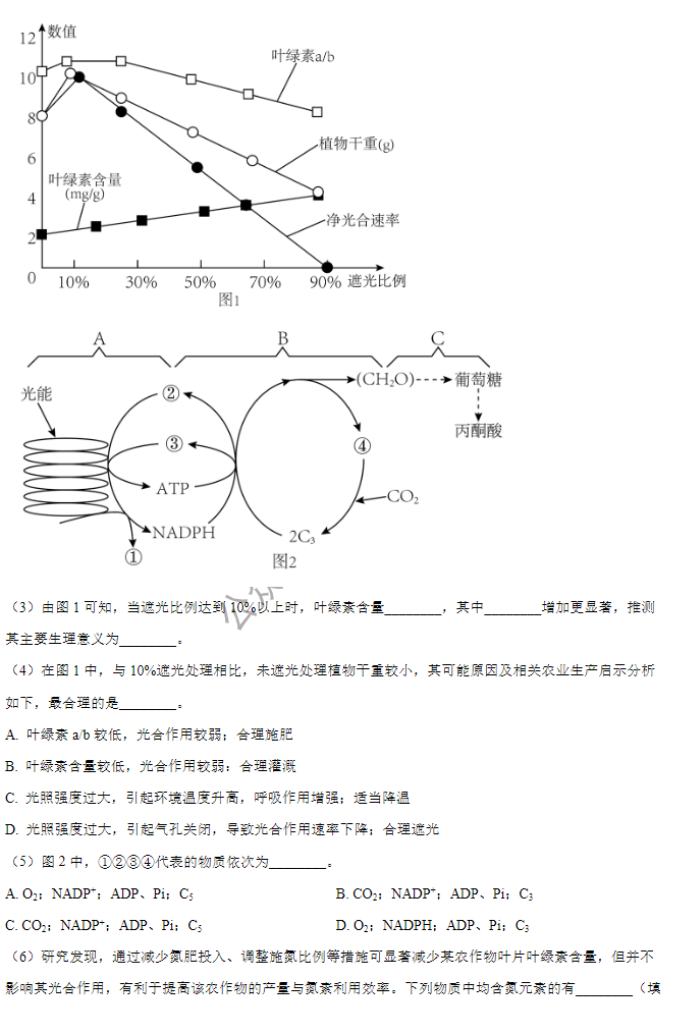 江苏海安高级中学2024高三10月月考生物试题及答案解析