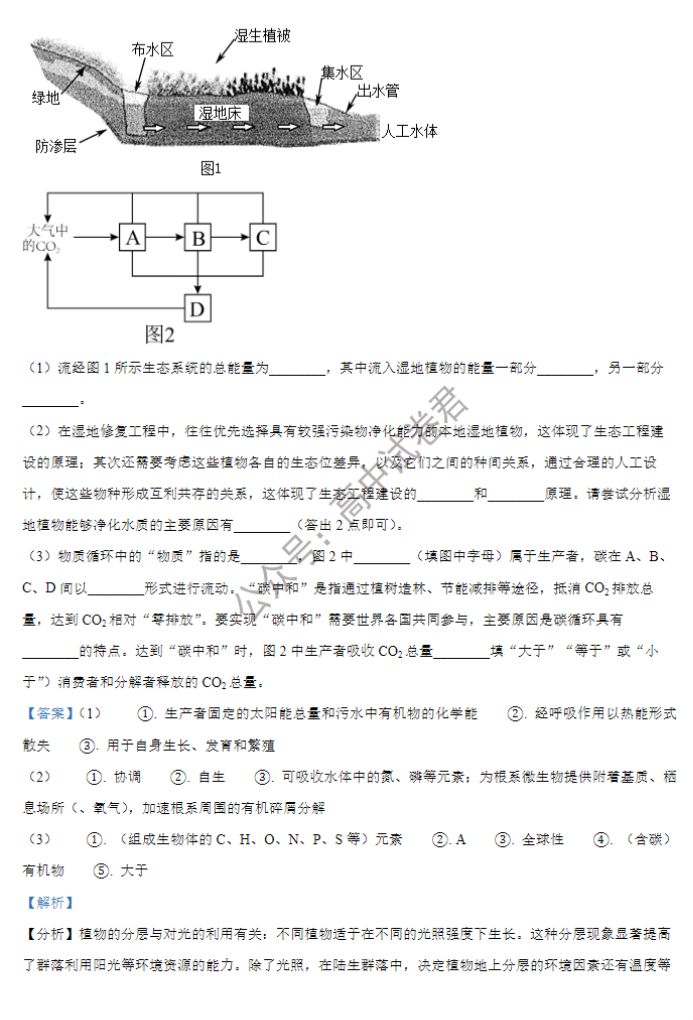 江苏海安高级中学2024高三10月月考生物试题及答案解析