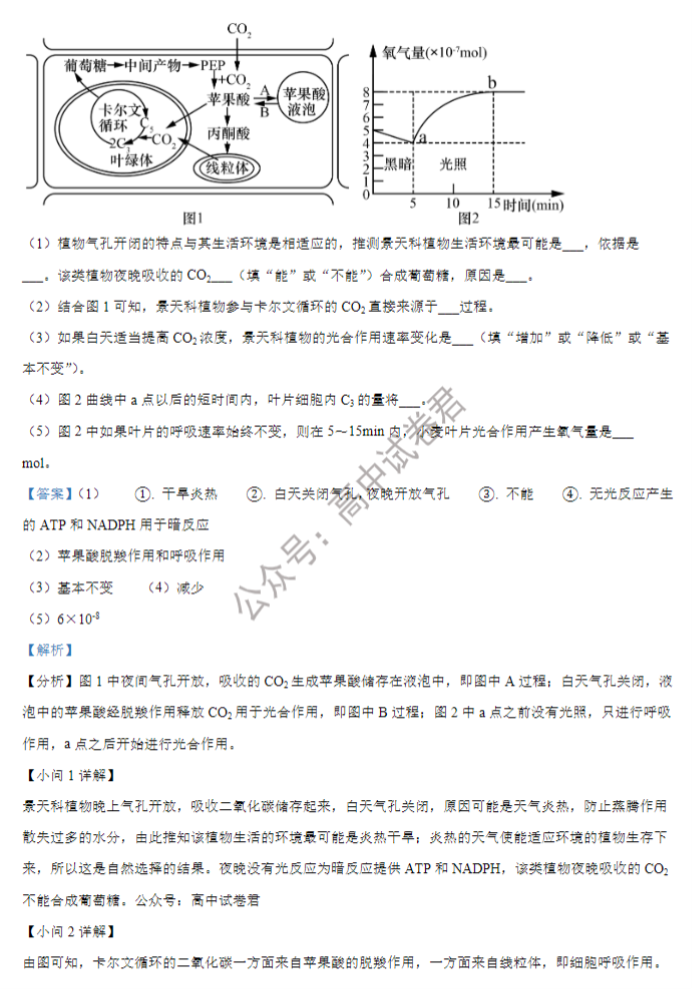 重庆铜梁一中等三校2024高三10月联考生物试题及答案解析