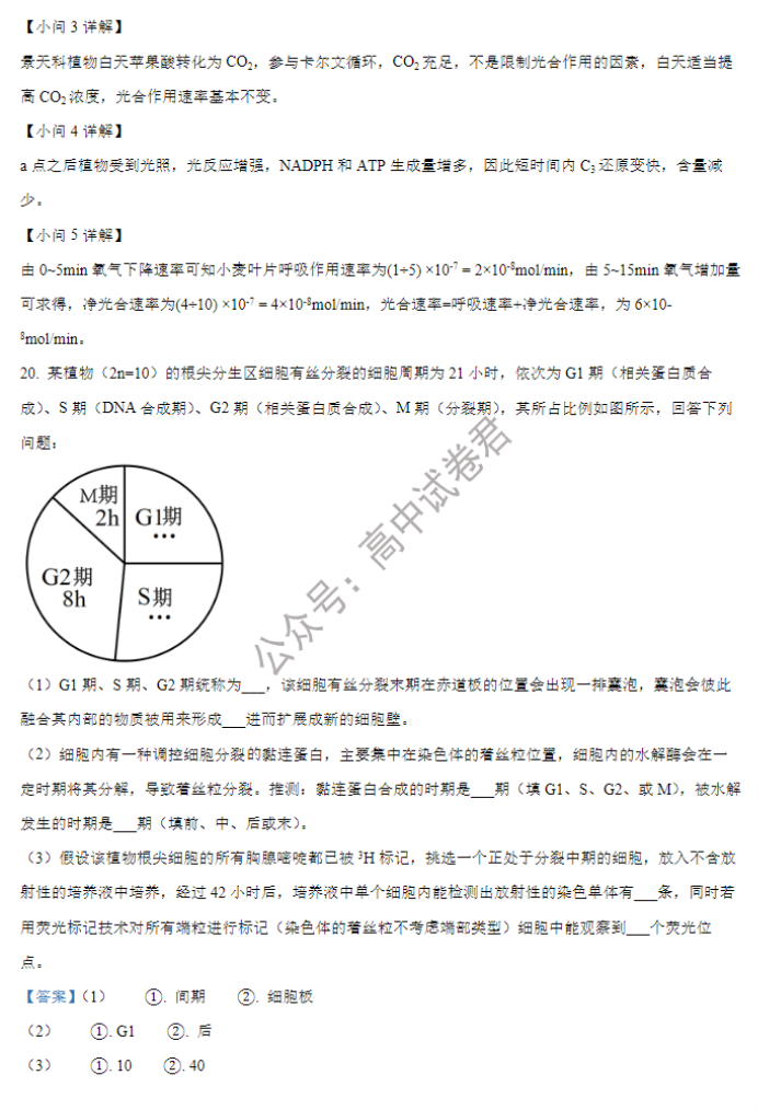 重庆铜梁一中等三校2024高三10月联考生物试题及答案解析