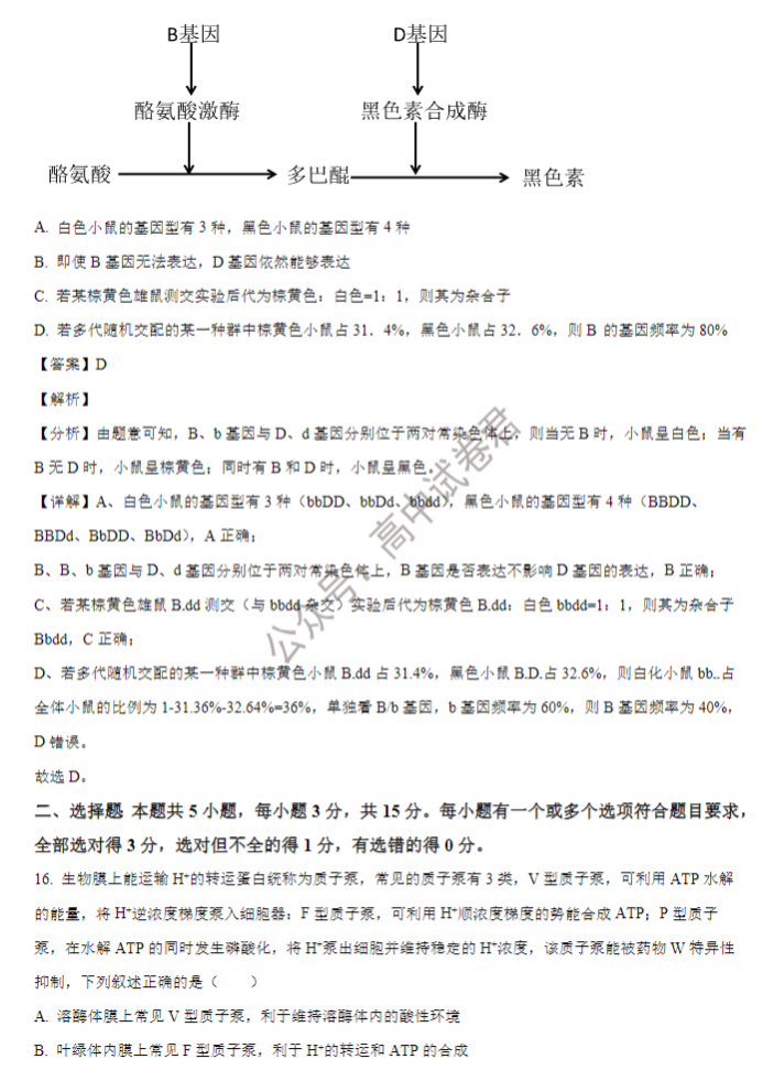 山东省禹城综合高中2024高三10月月考生物试题及答案解析