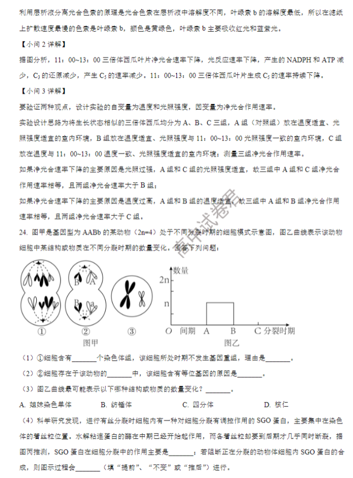 山东省禹城综合高中2024高三10月月考生物试题及答案解析