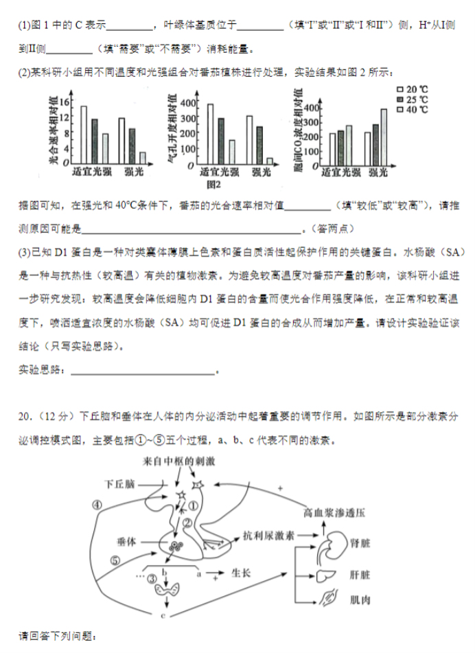 河北唐县一中2024高三10月月考生物试题及答案解析