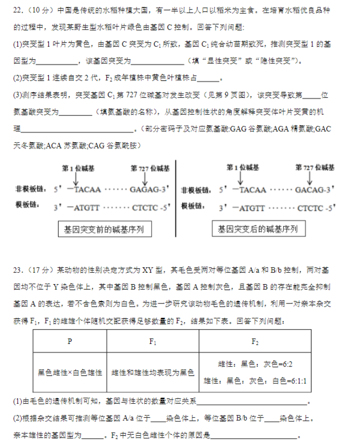 河北唐县一中2024高三10月月考生物试题及答案解析