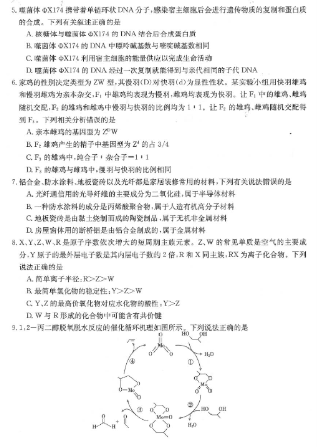 四川2024高三10月第二次联考理综试题及答案解析