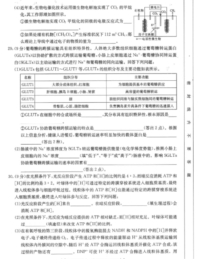 四川2024高三10月第二次联考理综试题及答案解析