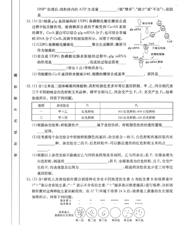 四川2024高三10月第二次联考理综试题及答案解析