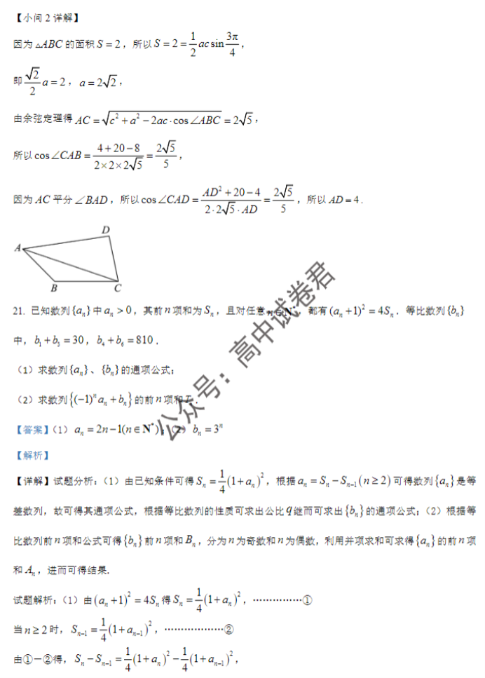 辽宁重点高中沈阳市郊联体2024高三10月月考数学试题及答案