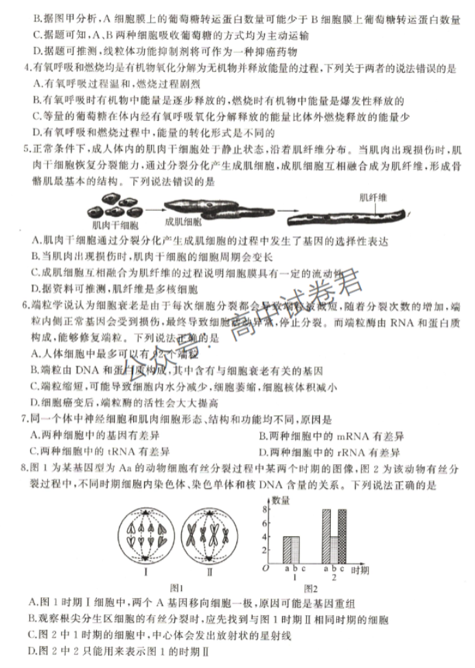 新高考百师联盟2024高三一轮复习联考二生物试题及答案