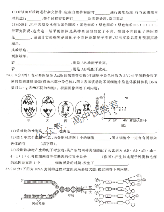 新高考百师联盟2024高三一轮复习联考二生物试题及答案